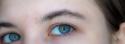 Смог зачесать мои жёсткие брови: гель-желе для бровей сверхсильной фиксации Vivienne Sabo Brow Jelly Gel