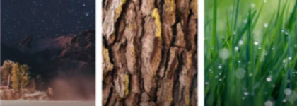 Земля и цветы: парфюмерная вода Demeter Fragrance Library Firefly