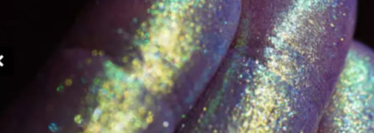 Мультихромный пигмент для нюда с изюмом: "Млечный путь" от бренда Ashera