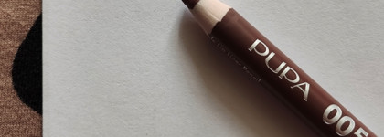 Готова покупать его снова и снова: карандаш для губ Pupa True Lips в оттенке 005