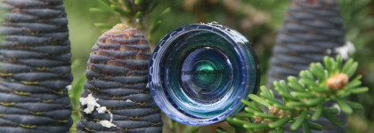 Умиротворение Sigil Inspired Tammy Tanuka: минеральный пигмент-хроматик