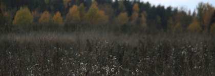 Итоги осени 2025: серый-зелёный, голография и "а где Ваша помада?"