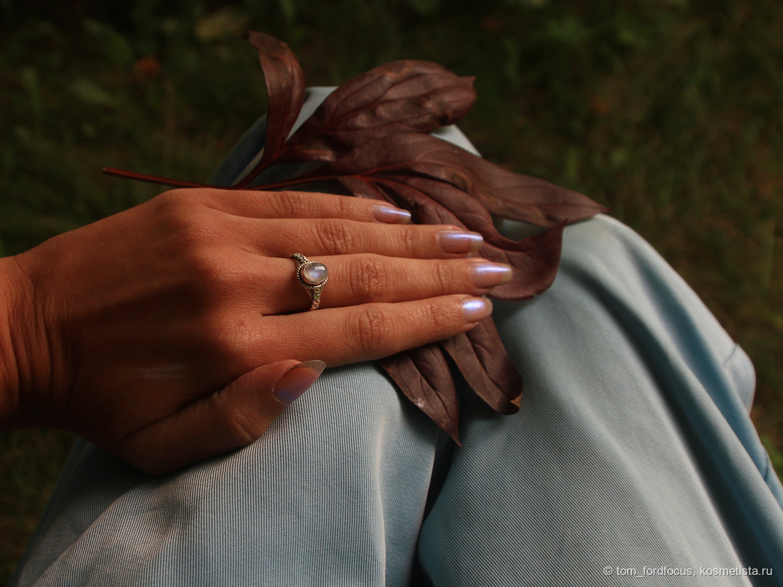 Общий вид, дневной свет