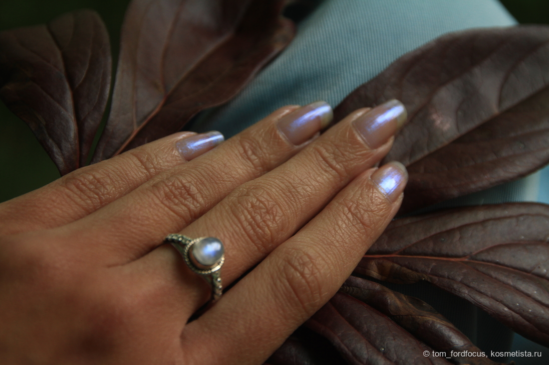 Общий вид, дневной свет