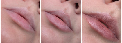 Miss Tais и Shu: моя нюдовая тройка для губ