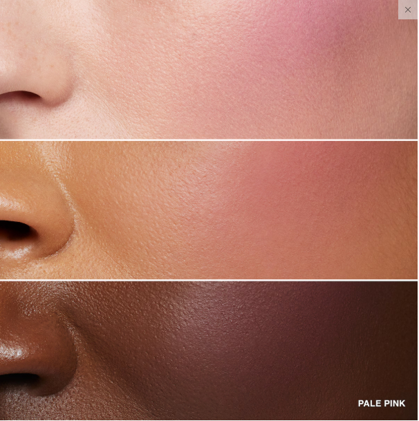 Румяна от Bobbi Brown Blush в оттенке Pale Pink