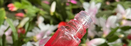 Масло для губ Guerlain KissKiss Bee Glow в оттенке 775 Poppy Glow (Красный мак)