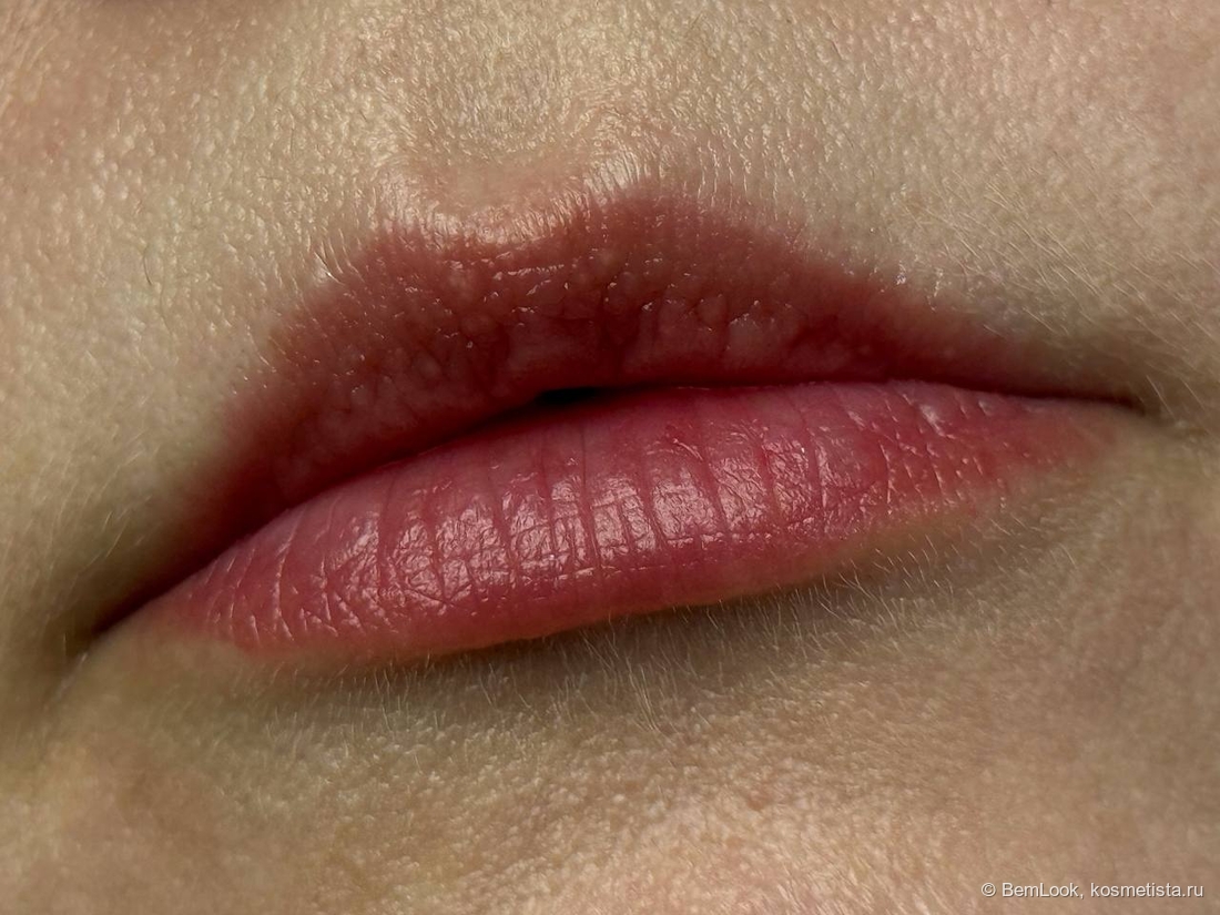 Жидкие румяна House of Hur Moist Ampoule Blusher в оттенке 02 Deep Plum на губах