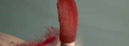 Витаминное масло для губ Axis-Y Vita Glow Lip Oil Chilled Berry