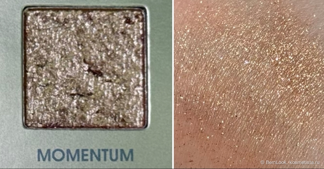 Оттенок Momentum