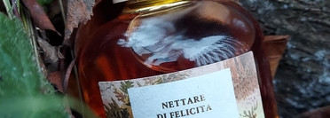 Праздник к нам приходит. Аромат имбирного печенья и трюфелей в парфюме Brocard Nettare Di Felicita Tartufo