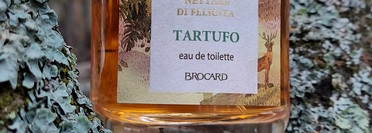 Праздник к нам приходит. Аромат имбирного печенья и трюфелей в парфюме Brocard Nettare Di Felicita Tartufo