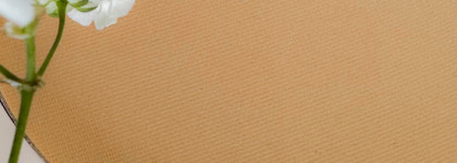 Обзор: Rare Beauty Pressed Tinted Powder Porcelain — фотошоп в реальном времени?