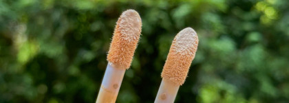 Битва своих: Сравниваем Tarte Shape Tape и Shape Tape Radiant — какой консилер идеален для вас?