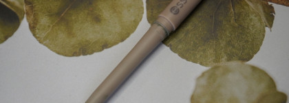 Matcha Week: идеальный оливковый оттенок в карандаше Essence Satin Blend 06 Deep Olive