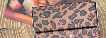 Магнитные котики от марки Celanaste