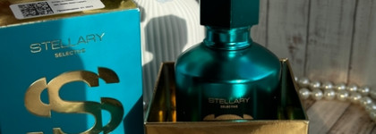 Дыхание вечности: когда даже увядшие цветы прекрасны Stellary Mystery Garden