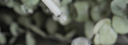 Лучшая сыворотка для увлажнения и восстановления кожи лица - Skin1004 Madagascar Centella Probio-Cica Intensive Ampoule