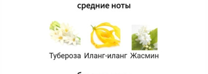 Лучший аромат моего лета - Soleil Blanc Tom Ford. От лёгкой симпатии до крепкой любви