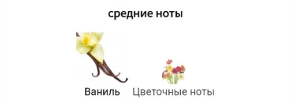 Самый сексуальный ванильный аромат - Tom Ford Vanilla Sex