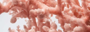 K-Beauty: несправедливо обделенный вниманием оттенок. Rom&nd Glasting Melting Balm 11 Buffy Coral