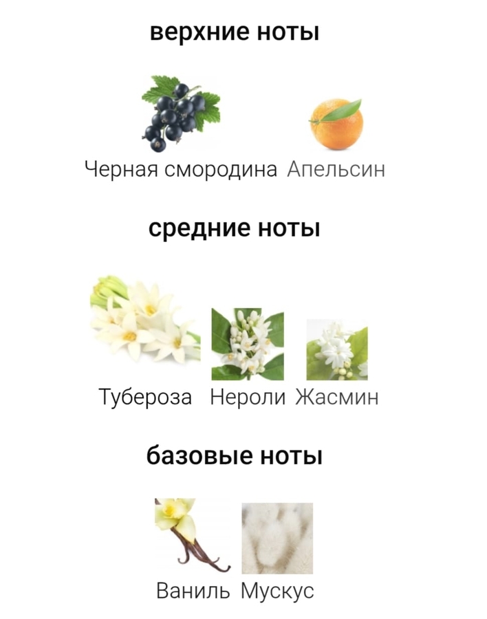 Ольфакторная пирамида My twist