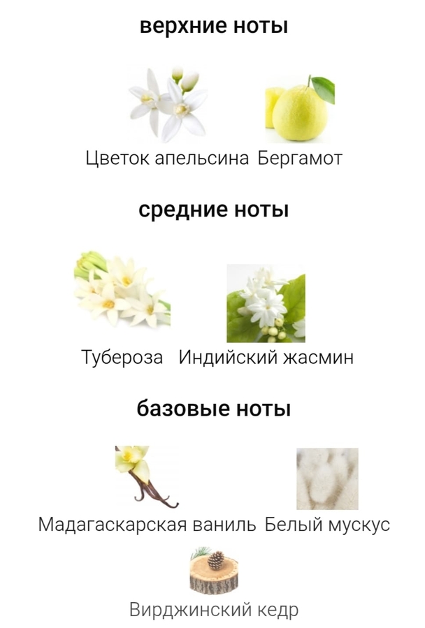А это пирамида My way. Видите сколько похожих нот?