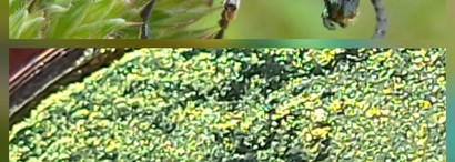 Космический металлик Catrice Space glam Chrome eyeshadow 030 Galaxy Lights