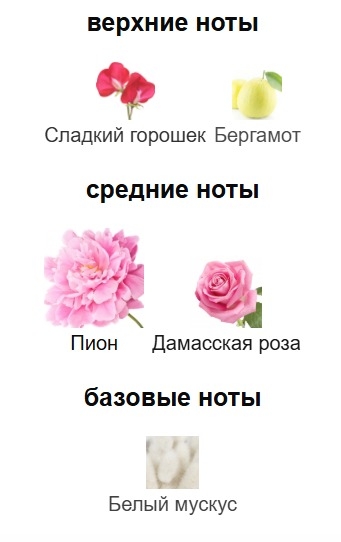 Пирамида Blooming bouquet 2023