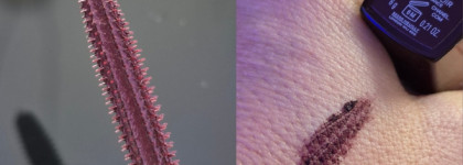 Red wine week: Chanel Collection Rouge noir 2026 или красное вино весной