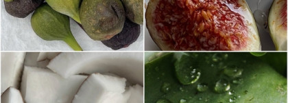 Так пахнет лето и отдых: мои любимые "отпускные" ароматы