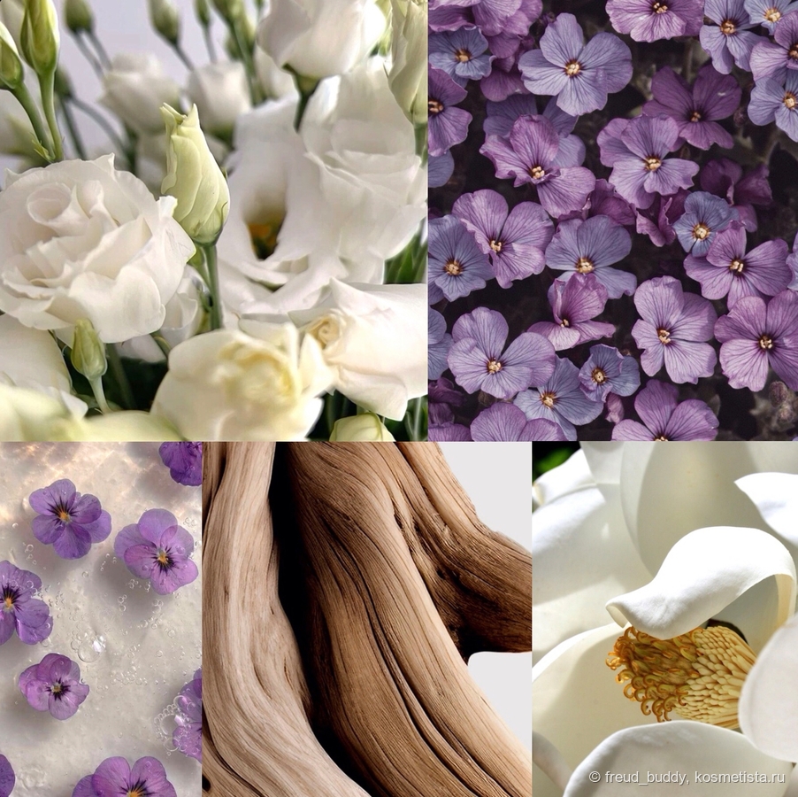 Визуальная ассоциация с парфюмерной компазицией