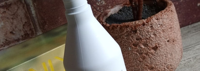 CK IN2U for her: «мальчик-колокольчик» для хорошей девочки