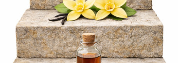 Zielinski & Rozen Vanilla Blend: о нежной и несладкой ванили без гурманики