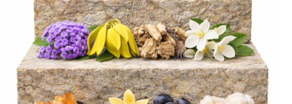 Cacharel Lou Lou: убить всё живое? Да! Но сделать это красиво