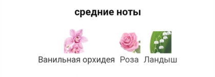 Аромат моего лета – Ari by Ariana Grande: зефирное облако