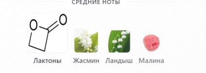 Lattafa Perfumes Affection - фисташки с ванилью. Как мне всё-таки удалось приручить не самый любимый аромат
