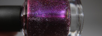 Scale Lacquer Черная пятница 2024