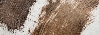 Шоколадное чудо: Essence Lash without limits extreme lengthening & volume