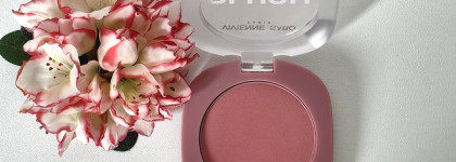 Vivienne Sabo Paris matte face blush macaroon 004