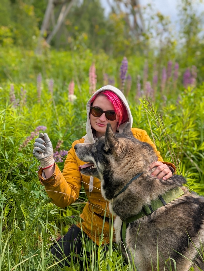 А тут притащила нашего огромного хаски Бастина фоткаться в цветочках.