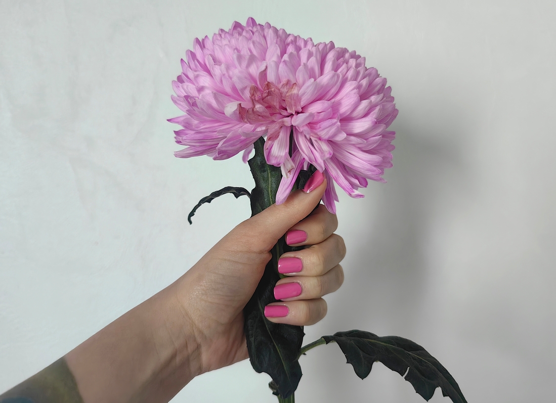 Дневной свет в глубине комнаты