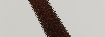 Вы видите тушь? А она тут есть! Divage Ai Lash Thermo Tubing Mascara в коричневом оттенке