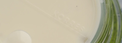 Лёгкое увлажнение и уход за порами — обзор крема Korres Santorini Grape Poreless Skin Cream