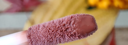 Ленивый осенний макияж с тенями Kiko Milano Long Lasting Eyeshadow Stick 08 Shell и блеском для губ Maybelline Lifter GLOSS Lip Gloss 08 Stone