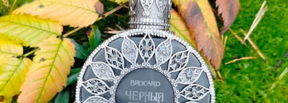 Black Swan (Черный лебедь) Brocard. Осень в стиле ретро