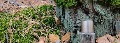 Нота: замша. Lacoste Pour Femme. Элегантность вне времени