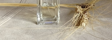 Нота: замша. Lacoste Pour Femme. Элегантность вне времени