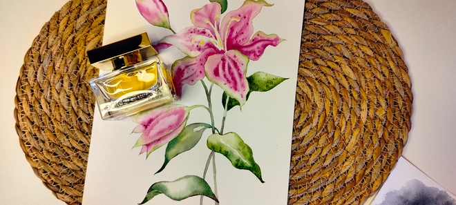 Dolce&Gabbana The One. Согревающие в холода ваниль и персик. Давно забытая классика