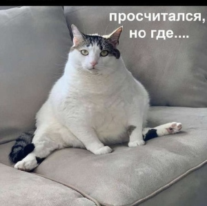 Фото автора отзывов на Косметисте